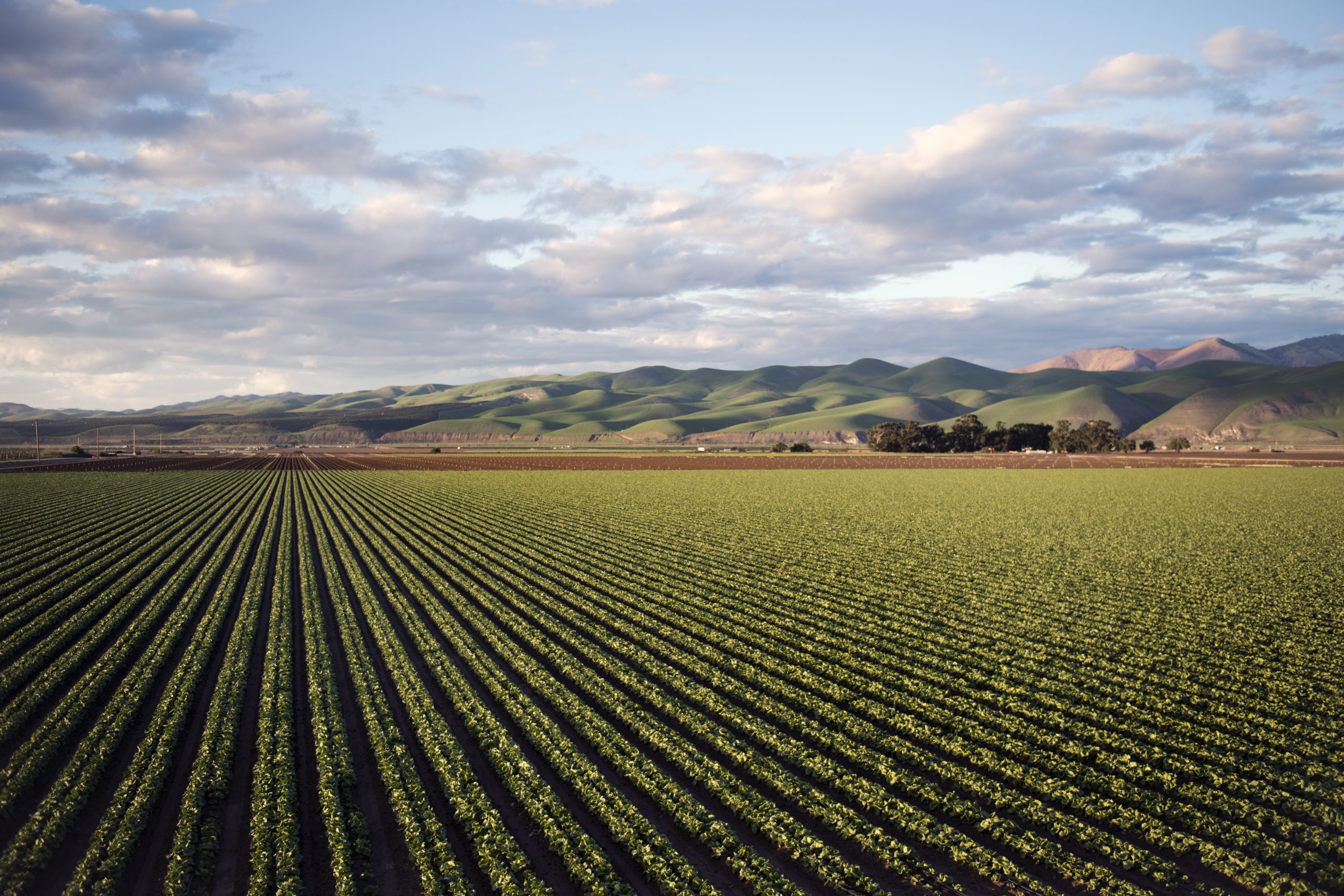 Aerial shot of a beautiful agricultural green field near mountains